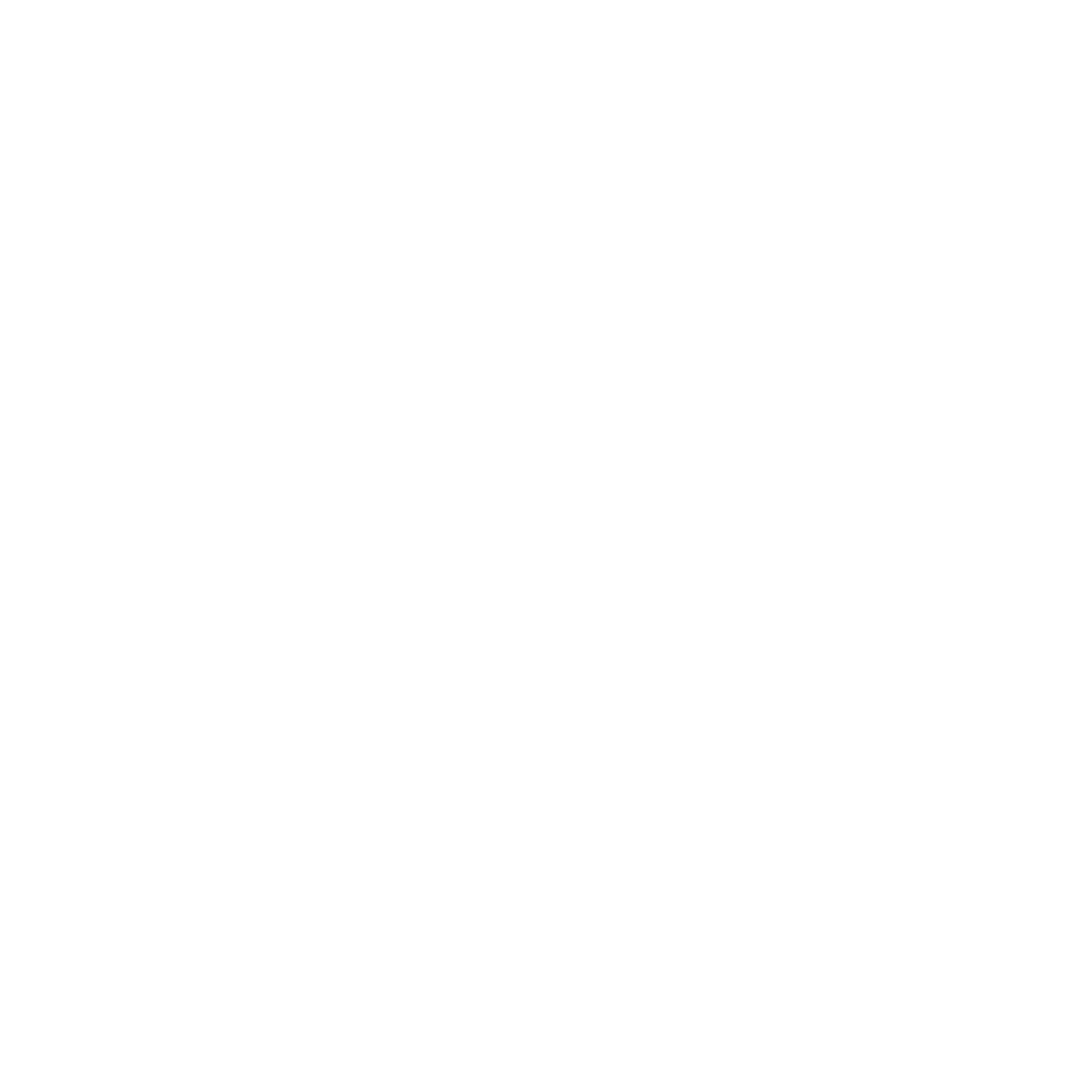 SSRP Institute