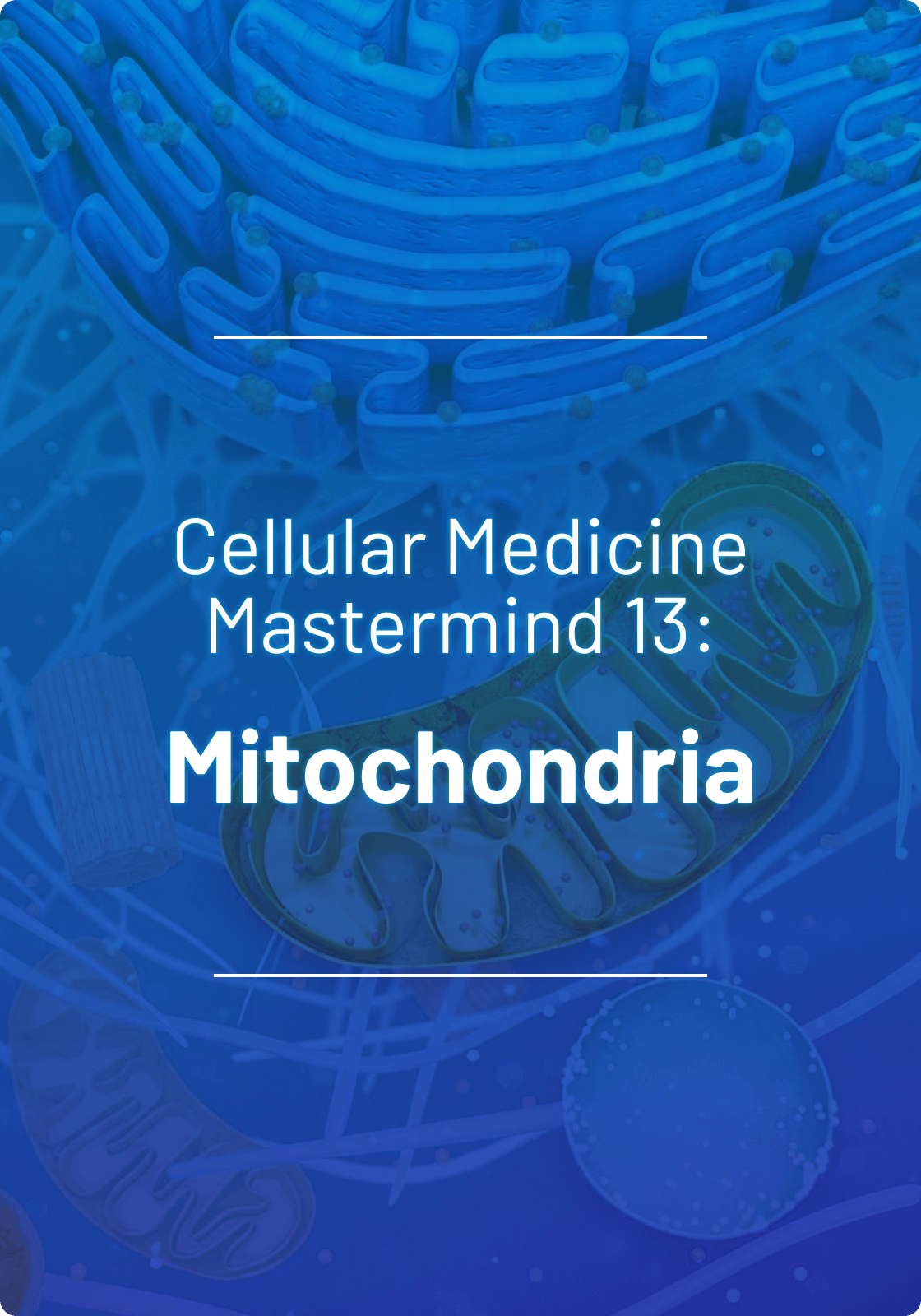 Mastermind 13: Mitochondria