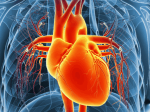 Cardiac & Respiratory Rehab
