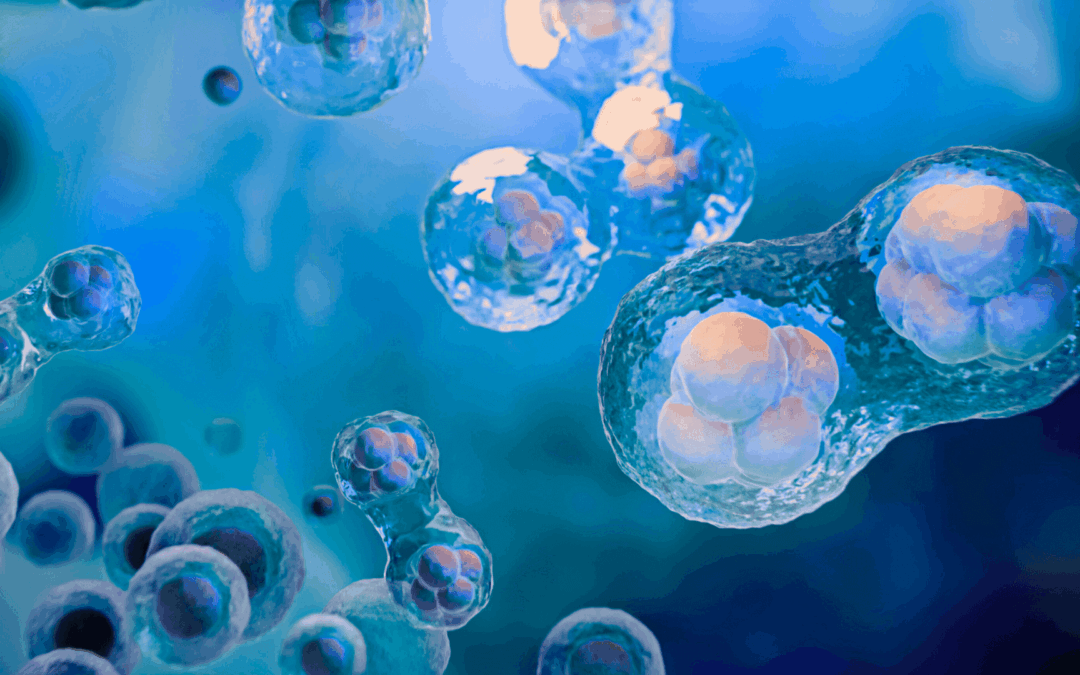 A New Medical Paradigm That Redefines Aging