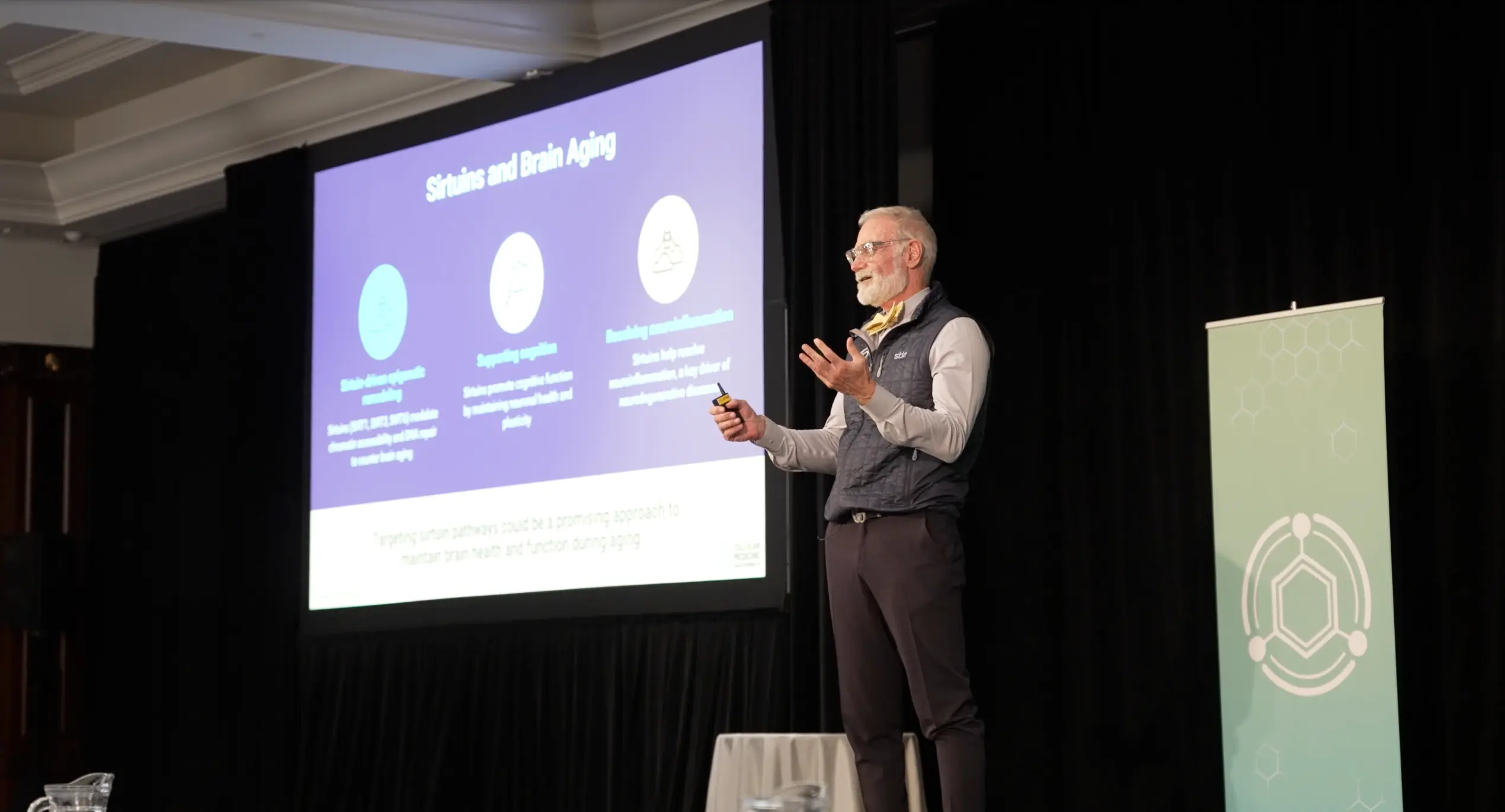 Mastermind 14: The Brain Code